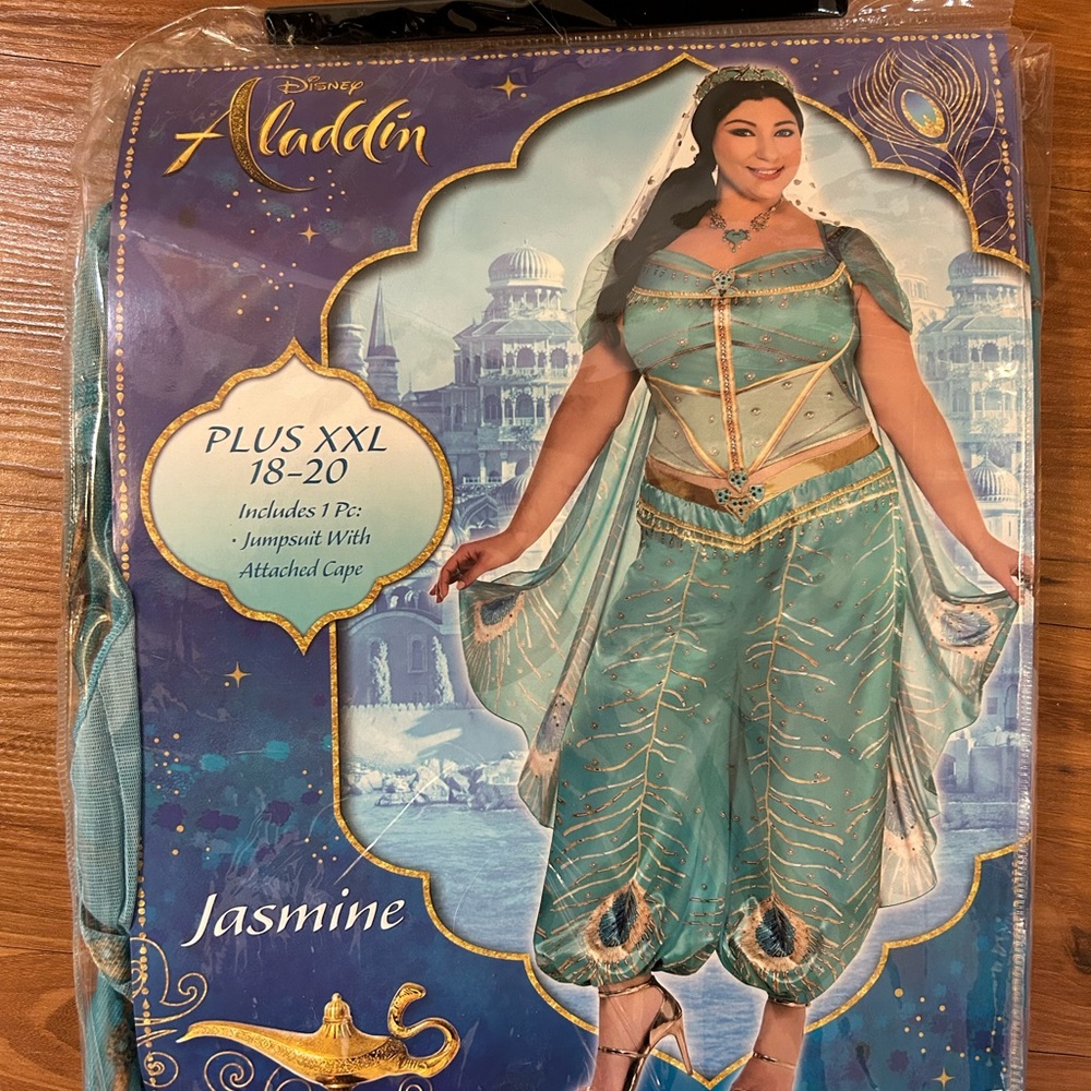 Disney Aladdin Live Action Women's Jasmine Costume with wig